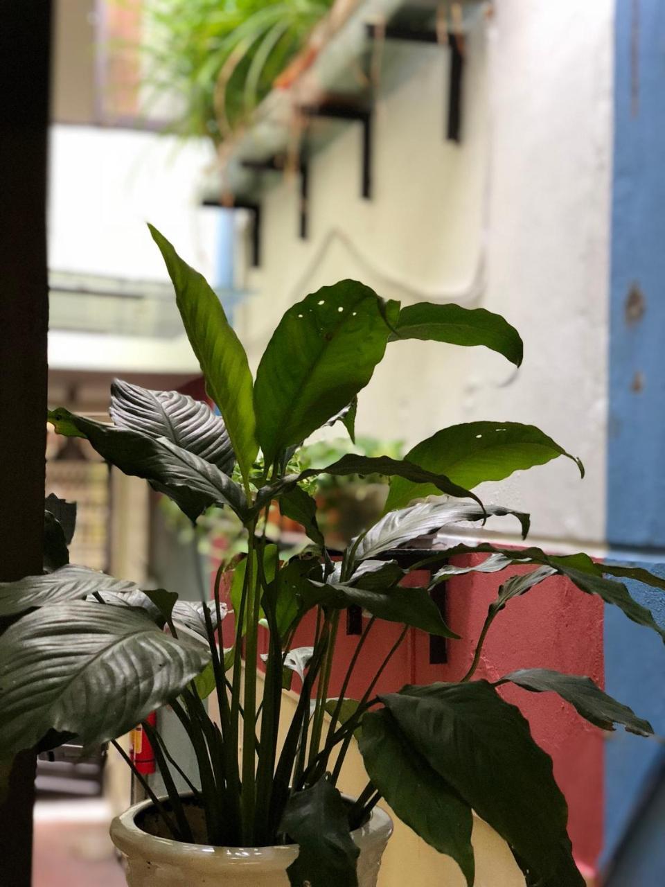 La Ventana Modern House Apartment Hai Phong Exterior foto